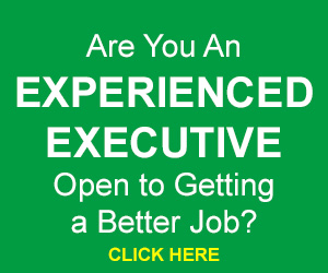 experienced executive get a job - catapult leaders
