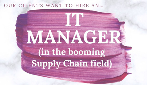 information technology manager banner - Catapult Leaders